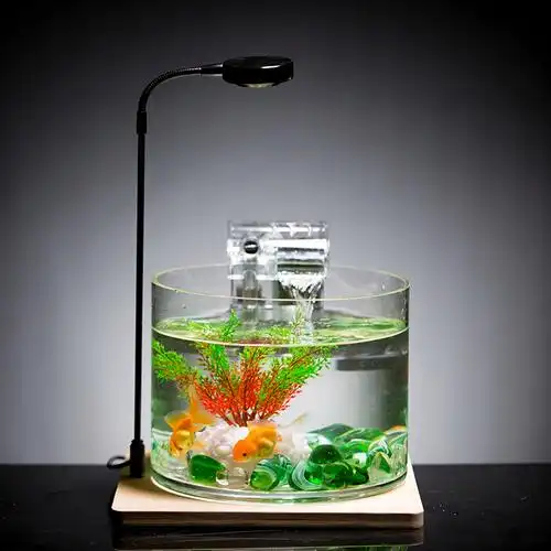 水族箱鱼缸其他造景乌龟过滤玻璃客厅直筒圆柱鱼缸