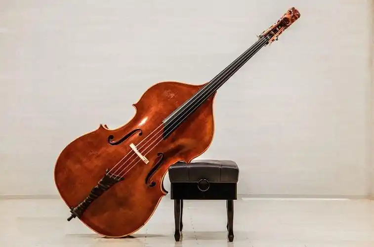 doublebass可不是双倍bass