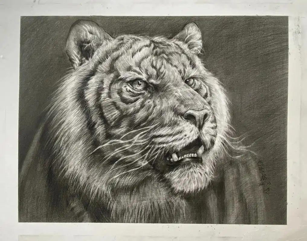 一波好的学生长期作业#美术生 #素描 #画室日常 #一起学画 - 抖音