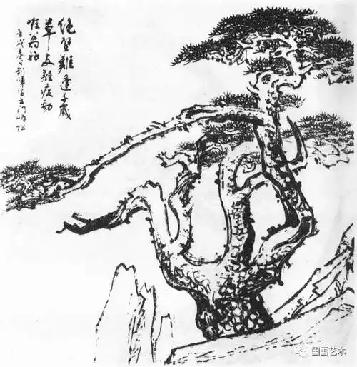 松树的画法详解