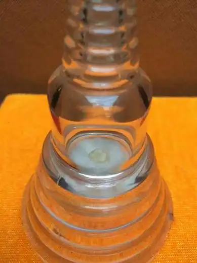 昆明华亭寺瞻礼虚云老和尚舍利法讯