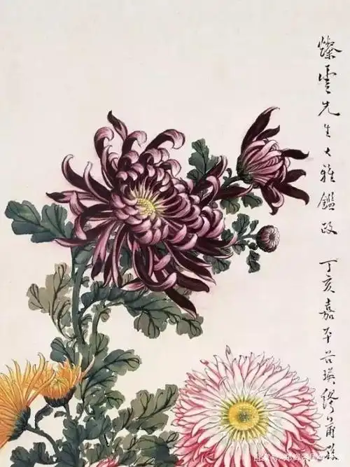 宁静儒雅,幽香孤洁,缪谷英的国画菊花