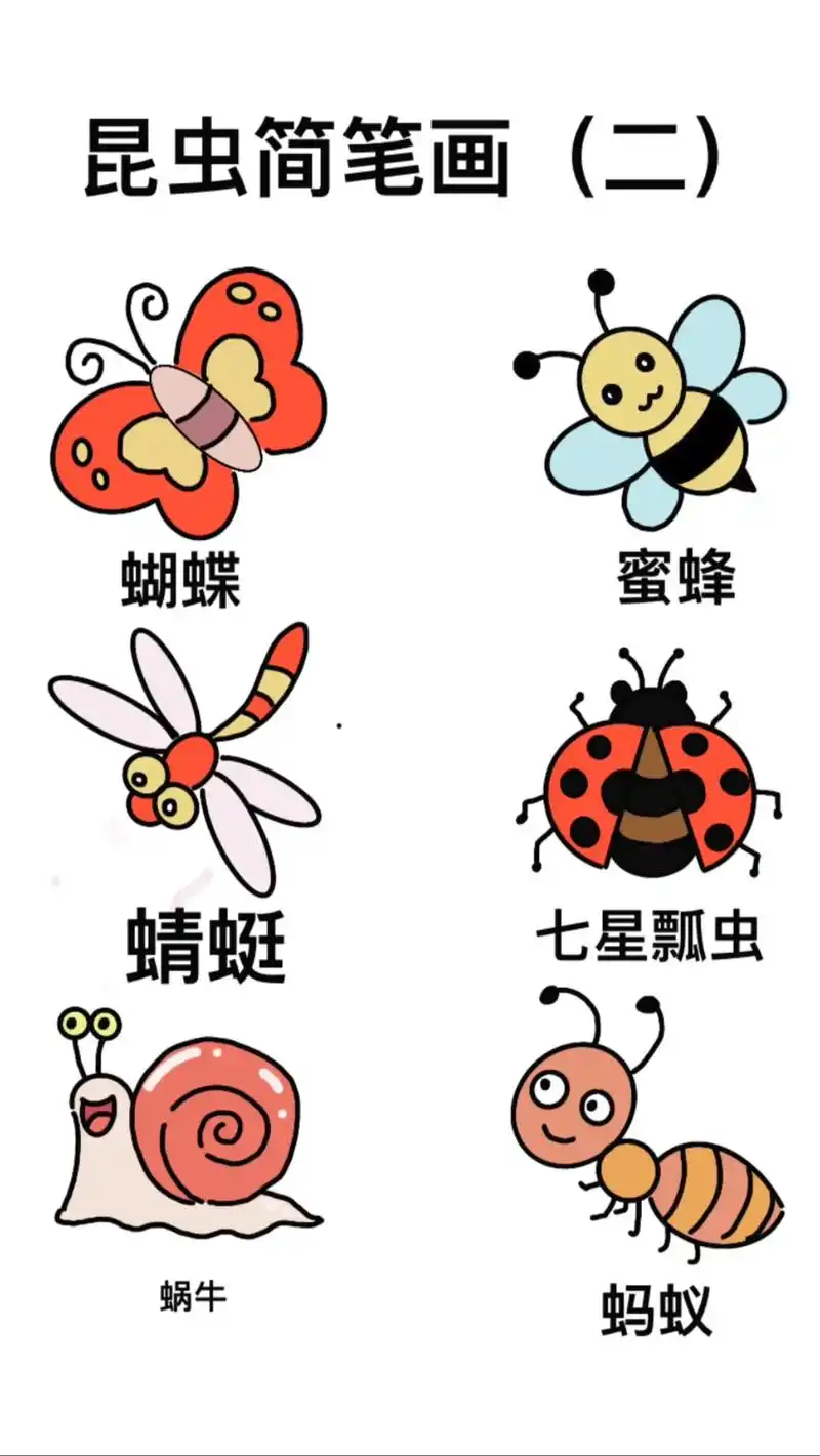 昆虫简笔画第二集教程.#创作灵感 #简笔画 #昆虫 #儿童画 - 抖音