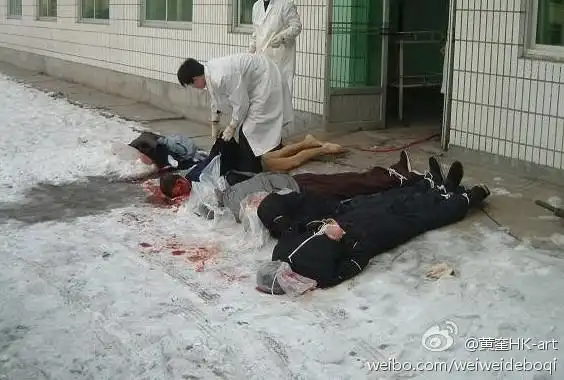 希望赫尔佐格的死刑纪录片在中国上演