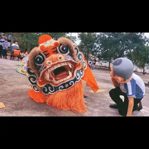 海陆丰#虎狮#舞狮#麒麟狮 每个男生都有一个虎狮梦, 一群小孩子在