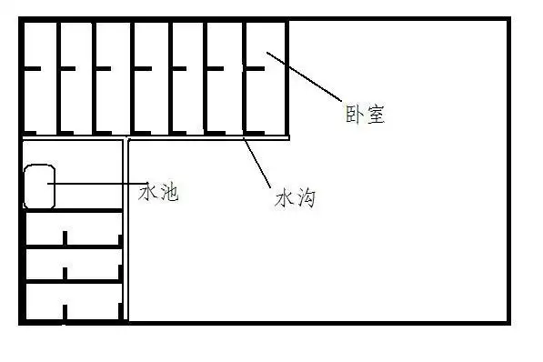 utopia边境牧羊犬