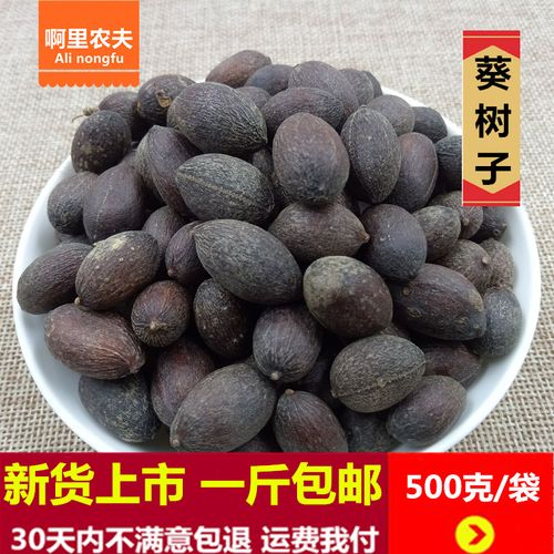 葵树子中药材 新货葵树籽 葵扇子 葵扇籽 蒲葵籽 蒲葵子 500g包邮