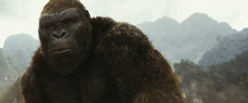 金刚:骷髅岛金刚起立gif动图_动态图_表情包下载_soogif