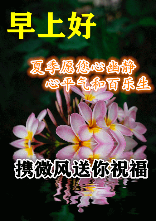 早上好动态表情图片大全,三伏天早晨好动图美图大全|早安|挚爱|好心情