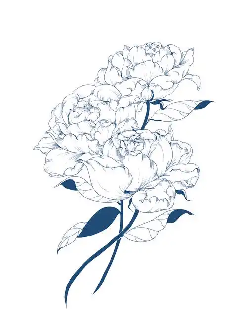 芍药|插画|艺术插画|柠檬黄抹茶绿 - 临摹作品 - 站酷 (zcool)