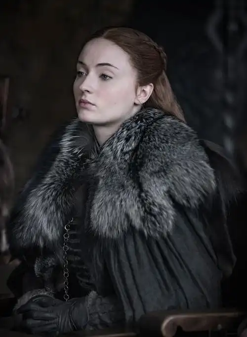 艾莉亚·史塔克