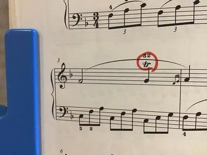 想请教大家一下右手的颤音和左手的节奏怎