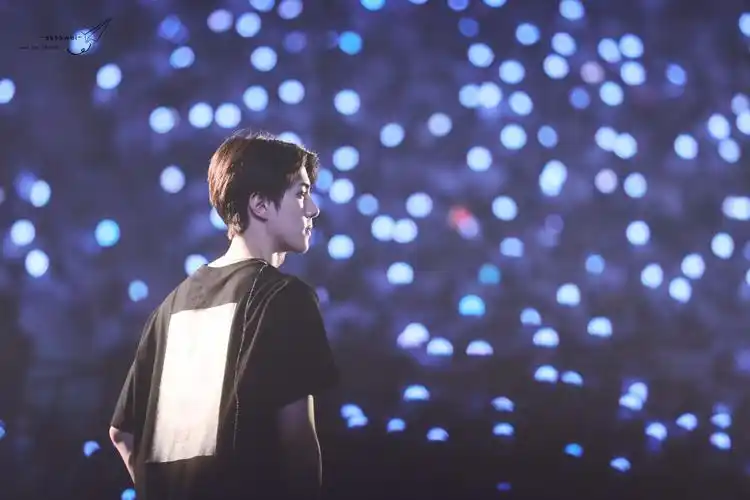 吴世勋|exo五巡 cr.logo - 堆糖,美图壁纸兴趣社区