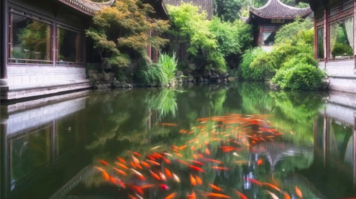 西湖十景之首的花港观鱼,是一处以花,港,鱼为特色的风景点.