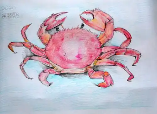 大螃蟹五年级绘画