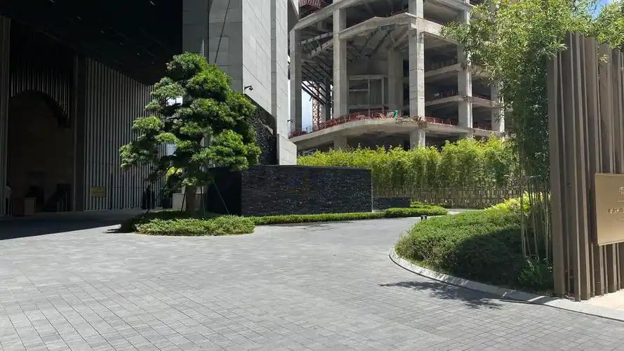 秋水共长天一色 | 深圳柏悦酒店 | 逆流而上