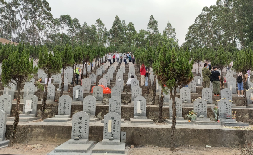 江门长青墓园今天4万人预约入园祭祖 秩序井然