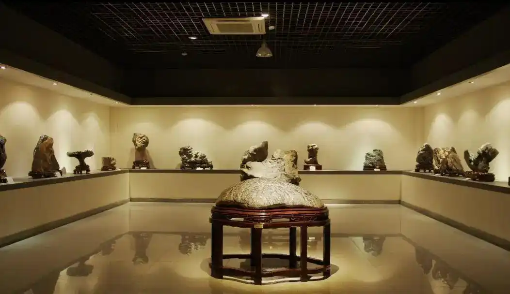 博物崂山天韵奇石千姿百态一起走进青岛金石博物馆