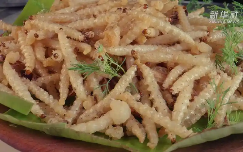 来挑战!云南西盟拉祜族美食炸竹虫