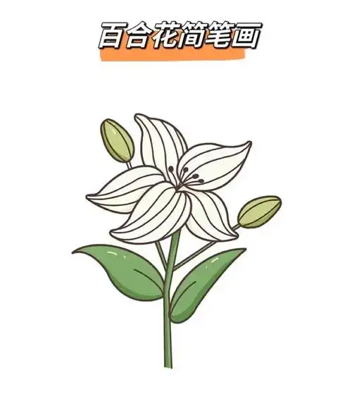 百合花画法简笔画百合花画法简笔画
