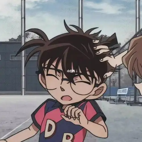 柯南世界杯96头像‖柯哀双人头像