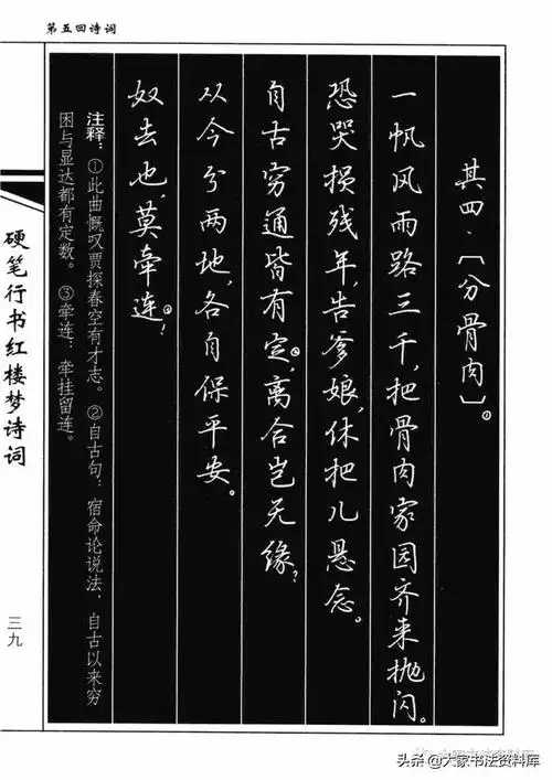 吴玉生《硬笔行书红楼梦诗词》欣赏