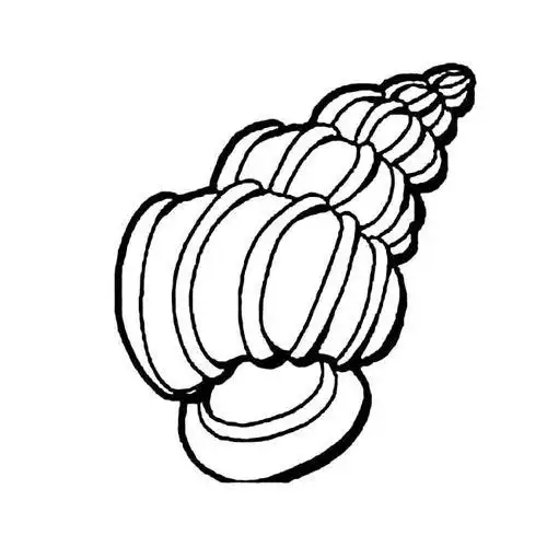 画在沙滩上的简笔画田螺