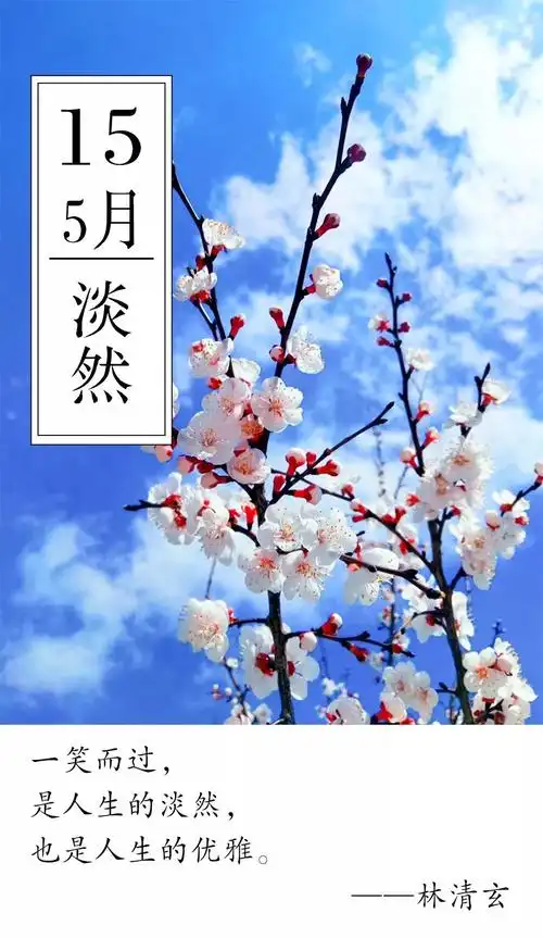 哈佳一语|三千事,淡然一笑间