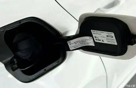 大众凌渡油箱盖怎么开(大众凌渡油箱盖开关拆解图视频)-海龙汽车网