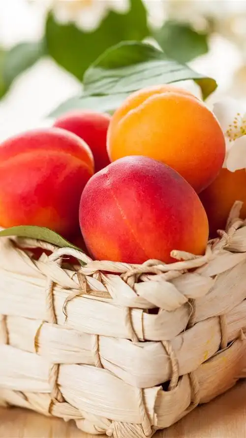 新鲜的杏子,水果,鲜花 4k