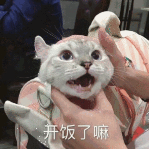 就你表情包 - 表情图