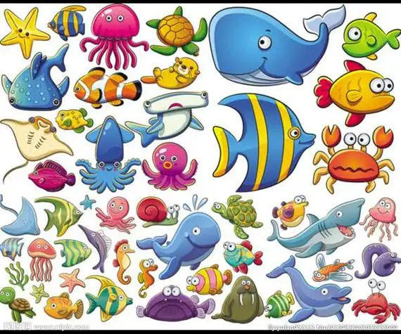 海洋简笔画动物海洋动物图画大全