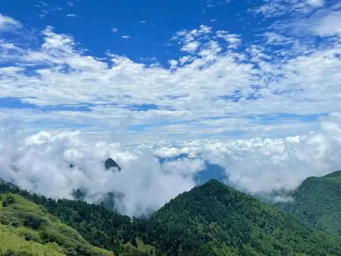 特别美的神农顶