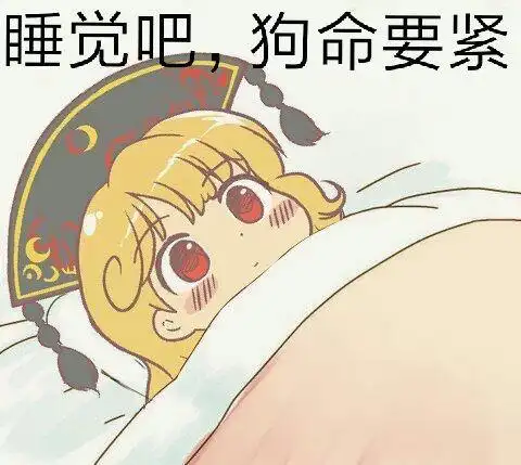 睡觉吧,狗命要紧