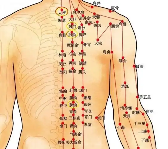 【同城啪啪夜约】托里消毒散