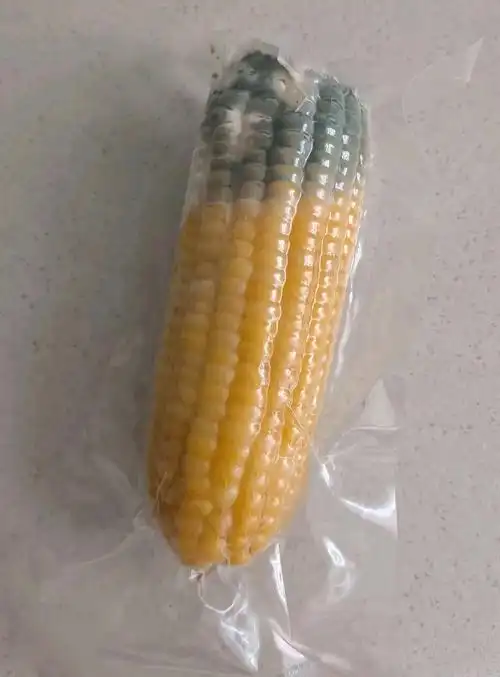 怎么判断玉米头发霉