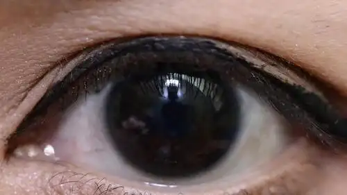 黑眼睛的人一般对自己非常有信心且非常有安全感,所以拥有暗黑色虹膜