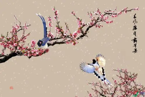 红梅双鹊