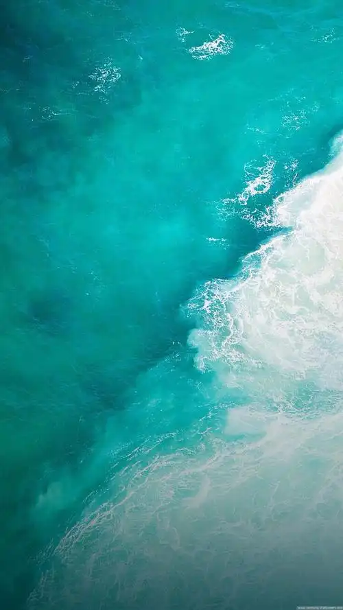 iphone高清壁纸～插画～动漫～竖屏壁纸～原创平铺