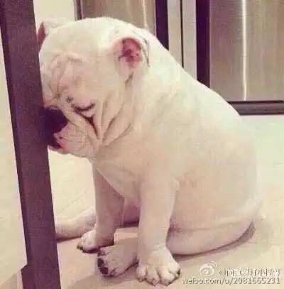 面壁思过中.我想静静!