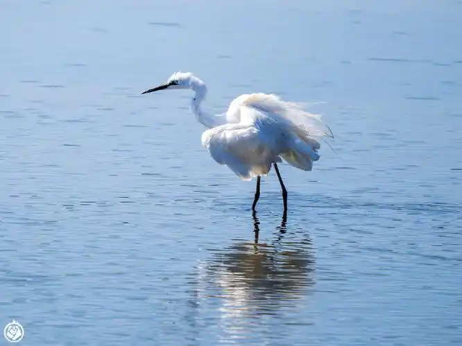 收拾了一下记忆,去了鸽子窝景区旁边的新河口.