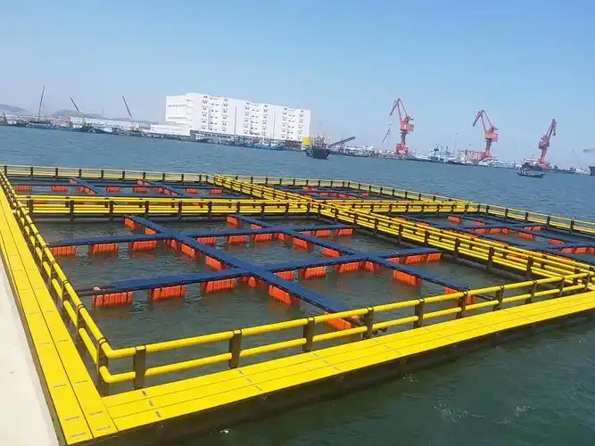 关于深海网箱养殖知识点普及