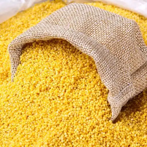 东北特产小黄米 黄小米 月子米 非转基因杂粮批发供应-豆瓣酱产业网