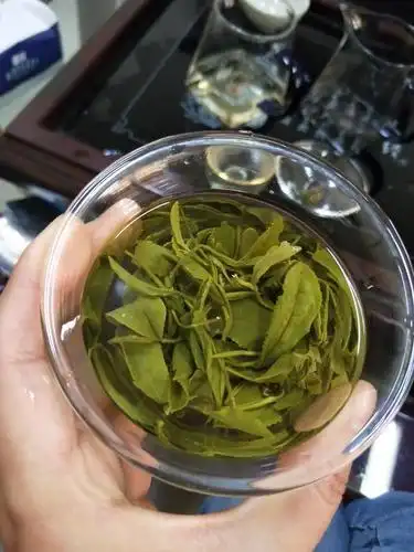 二级白毫青茶(秋茶)丨纯福利款丨  满满的豌豆香 不苦不涩 商品图1