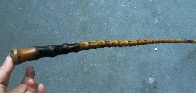 其它 正文   这就是传说中的黄荆棍,你遭过没得?