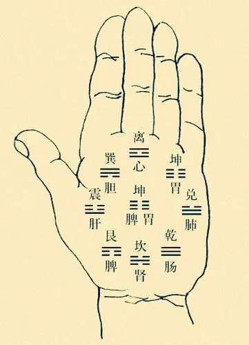 手相歌诀   手分八卦十二宫,万事都在一掌中,男子看手看八卦,女人看手
