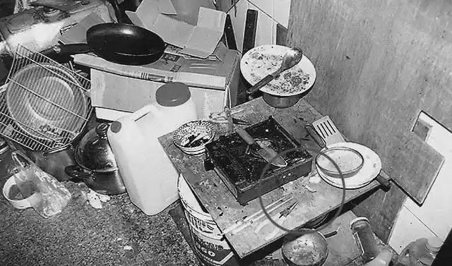 食人魔杀人分尸,美女保险员被奸杀后切碎油炸吃掉|尸块|修车铺|警局