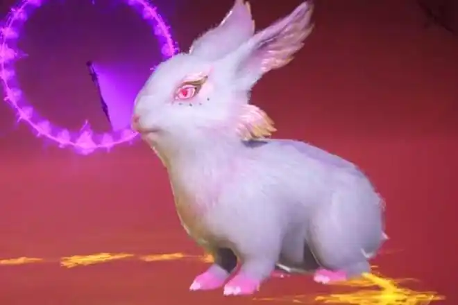 斗罗146集预告第25秒揭秘小舞新形象放大后和广告建模完全一样