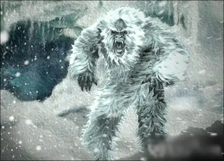 喜马拉雅山雪怪之谜雪怪是什么生物真的有雪怪吗