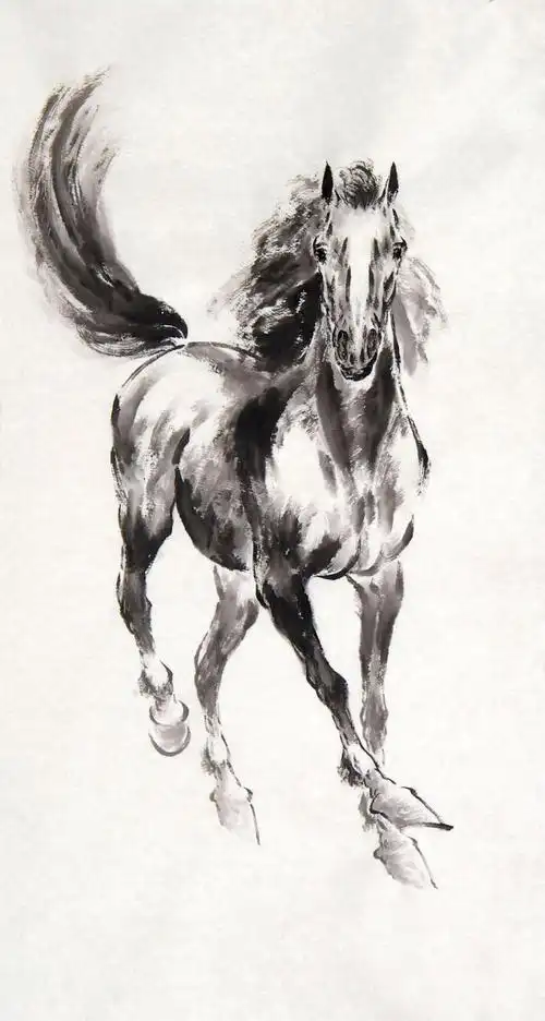 雷晓宁画作欣赏(国画:马) - huou - 并行不悖